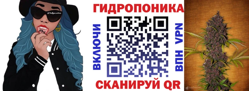 Магазин наркотиков Новокузнецк МЕГА как войти  Каннабис  Мефедрон  ГАШИШ  КОКАИН 