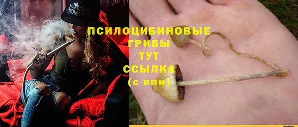 не бодяженный Новокубанск