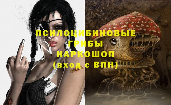крисы Нефтекумск