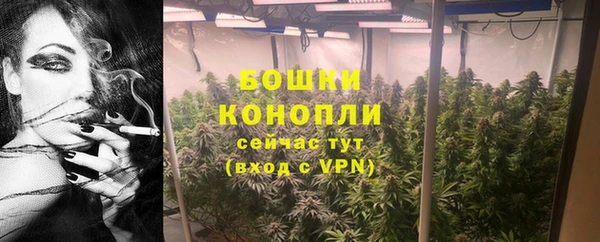 PSILOCYBIN Нея