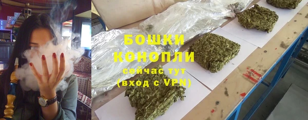 PSILOCYBIN Нея