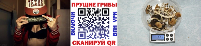 Псилоцибиновые грибы мицелий  купить  цена  Новокузнецк 
