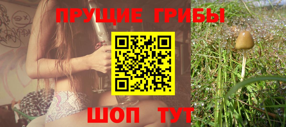 Галлюциногенные грибы Cubensis  Галлюциногенные грибы GOLDEN TEACHER  Вход с VPN  Новокузнецк 