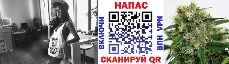 купить наркотик  Новокузнецк  ОМГ ОМГ ссылка  Конопля тримм 